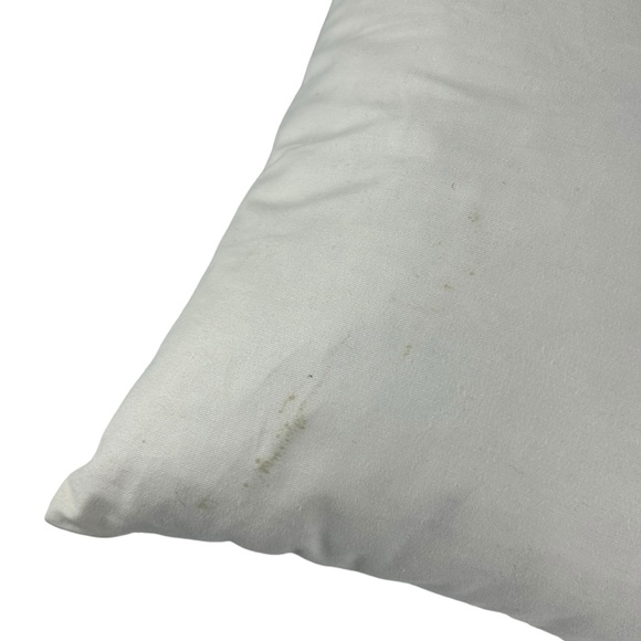 West Elm 12” x 16” Waterfowl Feather Pillow Inserts- Set of 2 - Picture 4 of 4